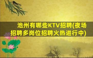 池州有哪些KTV招聘(夜场招聘多岗位招聘火热进行中)